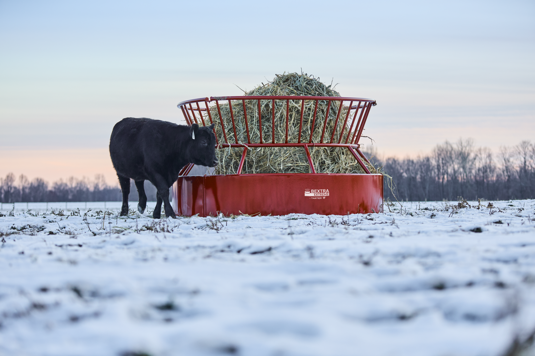 TAR_2501012_Bextra_229.20250410143729201